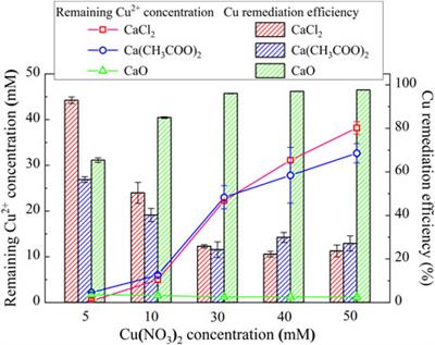 The Effect of Calcium Source on Pb and Cu Remediation Using Enzyme-Induced Carbonate Precipitation